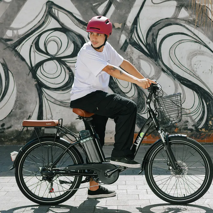 E-Bike L
